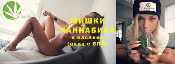 хмурый Вяземский